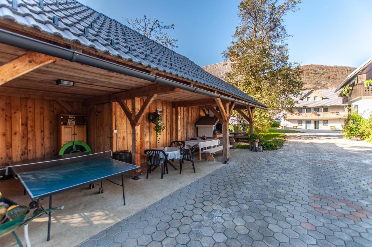 Apartment Francka