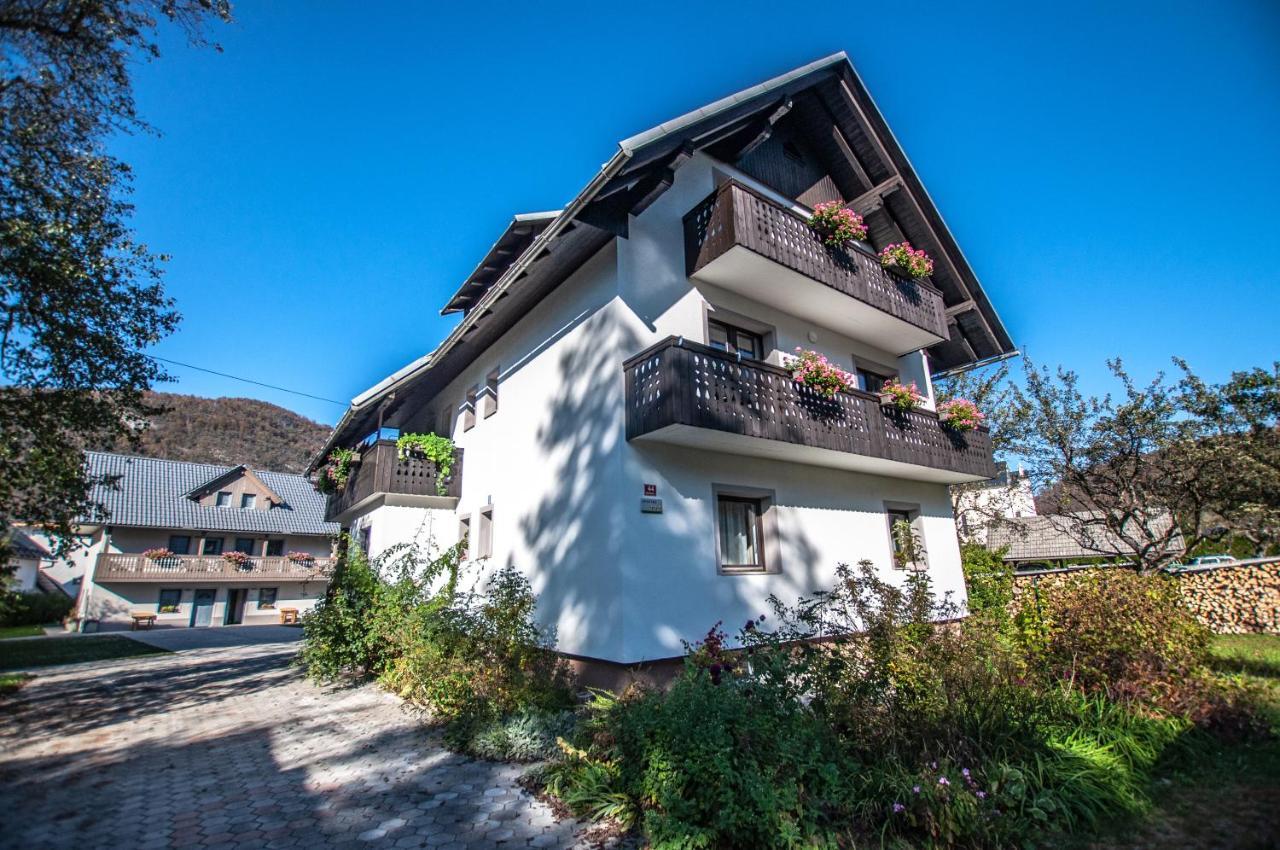 Apartment Francka